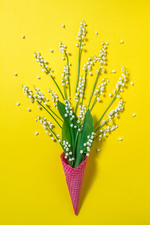 Pink Waffle Cone with Leaves and White Flowers