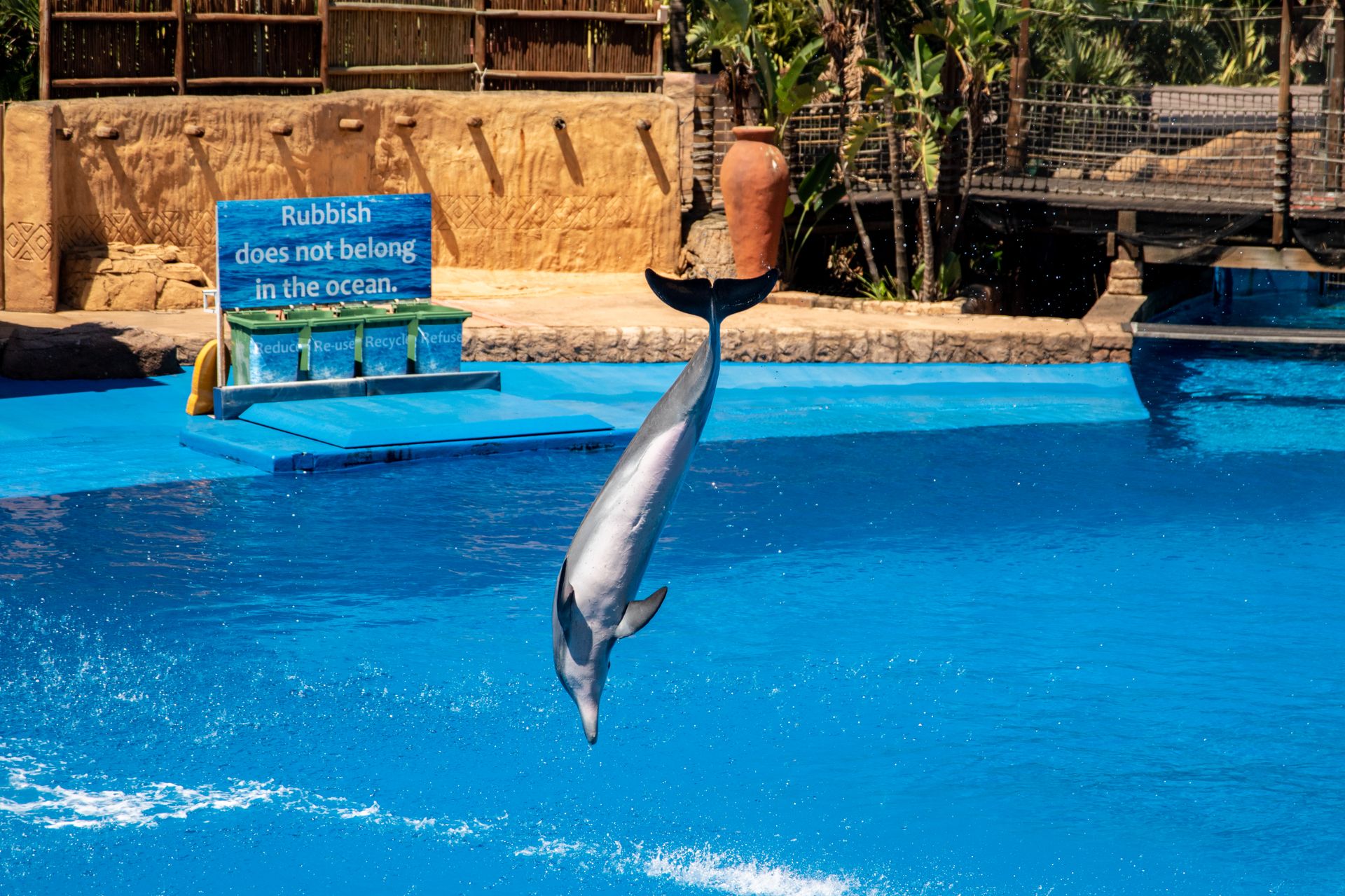 Jumping dolphin entertains in an aquatic show. Includes a message about ocean cleanliness.