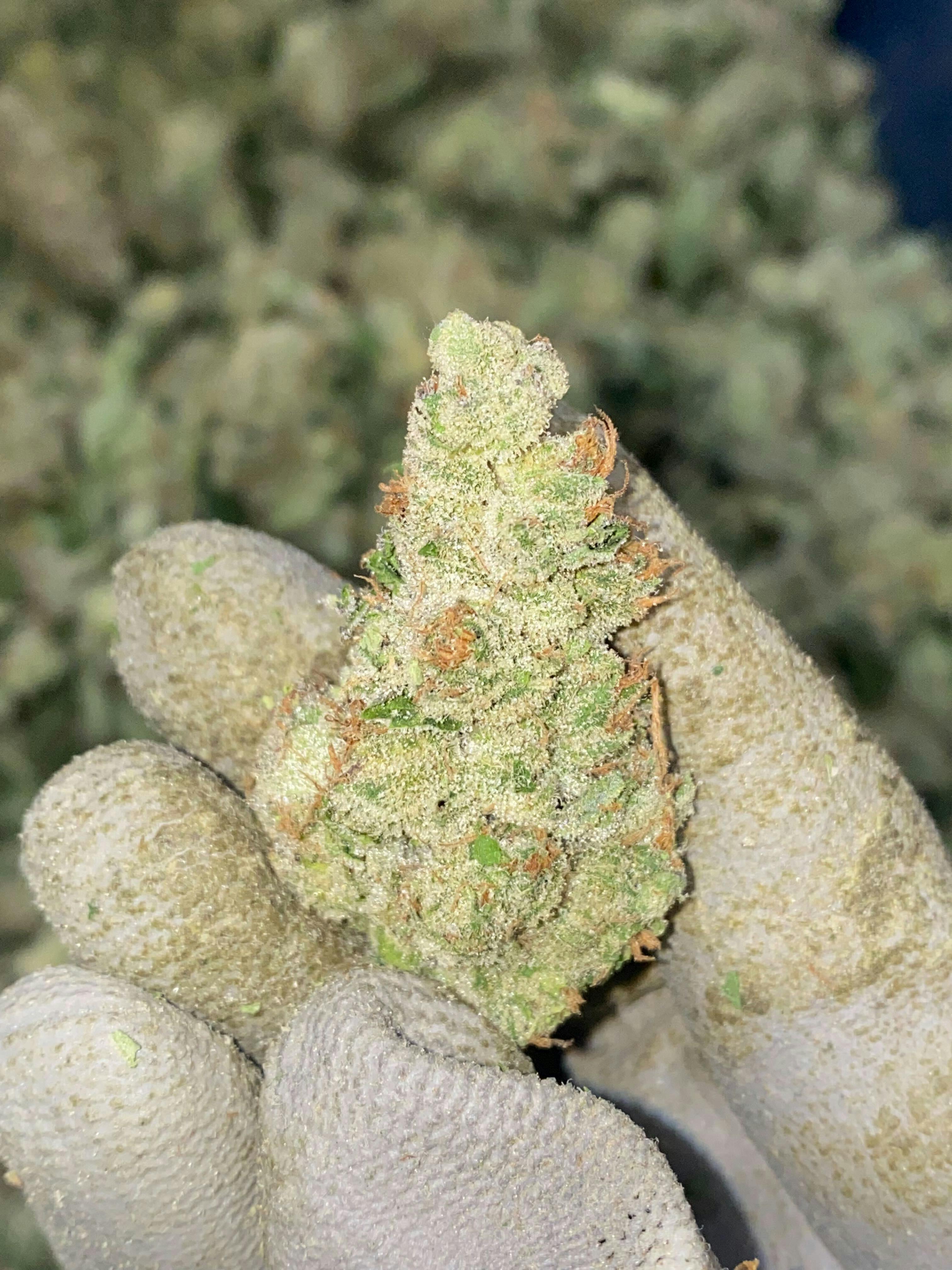 Bencana alam dan kesiapsiagaan cuaca