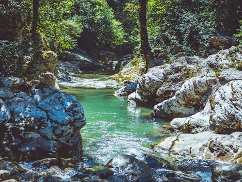 бесплатная Река в окружении скал Стоковое фото
