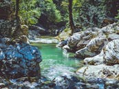 一条宁静的小溪流经郁郁葱葱的森林，周围岩石环绕，构成了一幅风景如画的自然景观