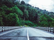 一条风景如画的柏油路蜿蜒穿过郁郁葱葱的森林，非常适合旅行爱好者