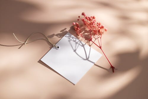 Flower and Card on Table