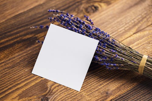 Gratis lagerfoto af blomster, bundet, bundt