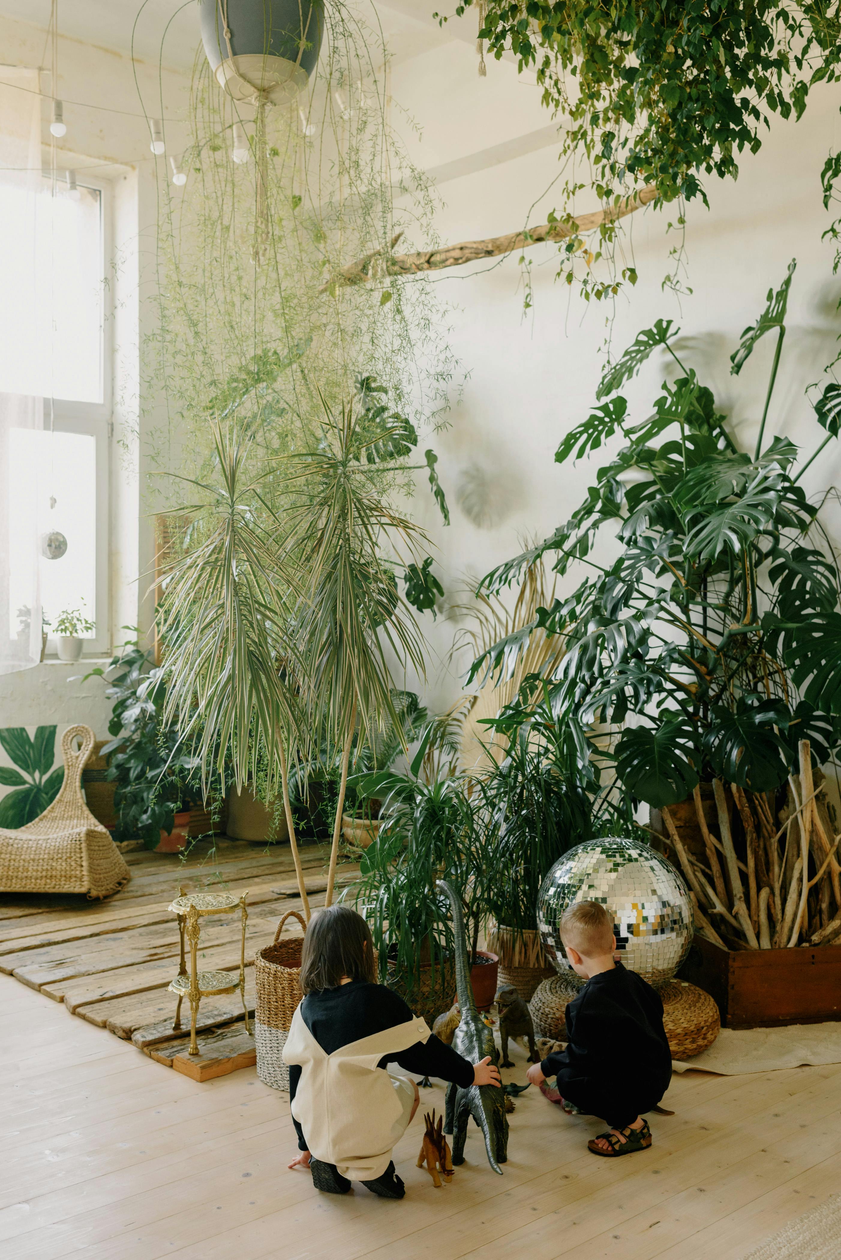 kids playing near the indoor plants