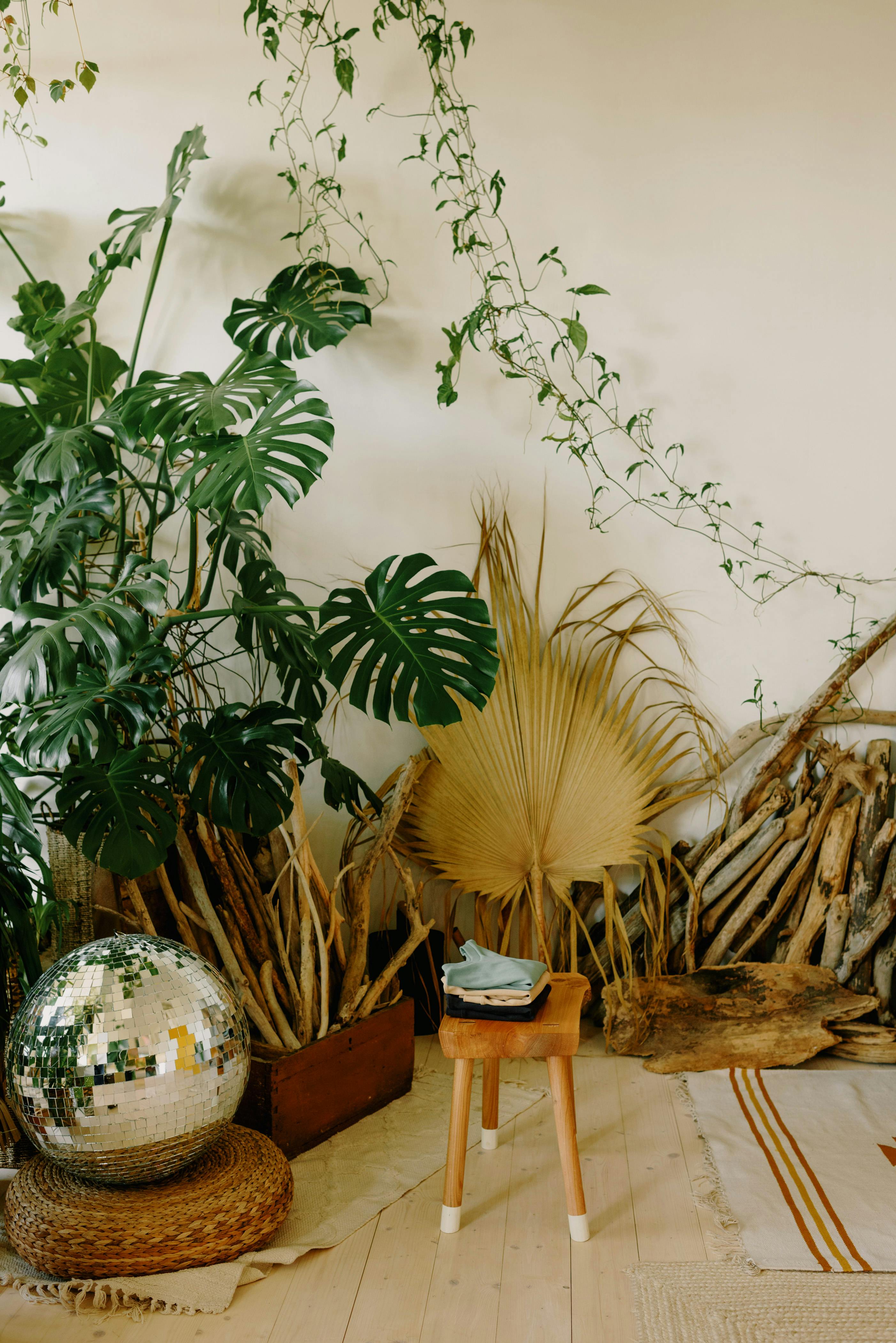 Cozy bohemian room decor featuring lush tropical plants and a stylish disco ball.