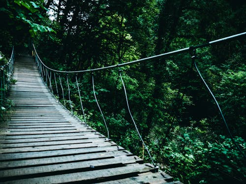 Ponte Suspensa Marrom