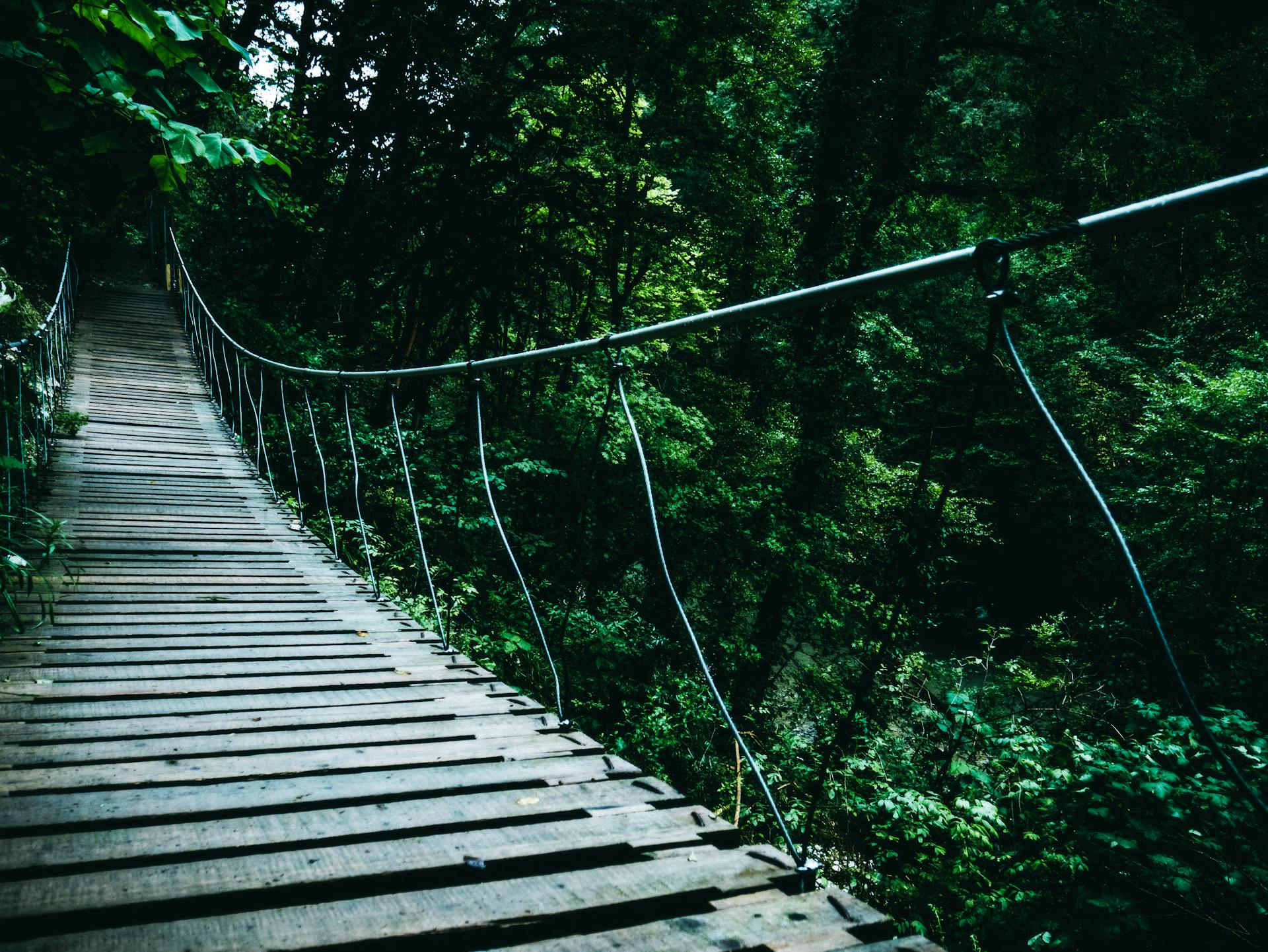 A scenic wooden footbridge stretches across a verdant forest, offering a tranquil nature escape.