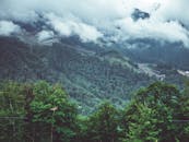 薄雾和云层笼罩着郁郁葱葱的森林，营造出一片宁静的风景