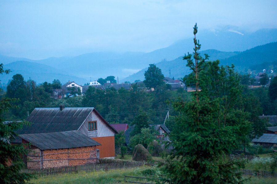 Plantación de café en Etiopía Guji