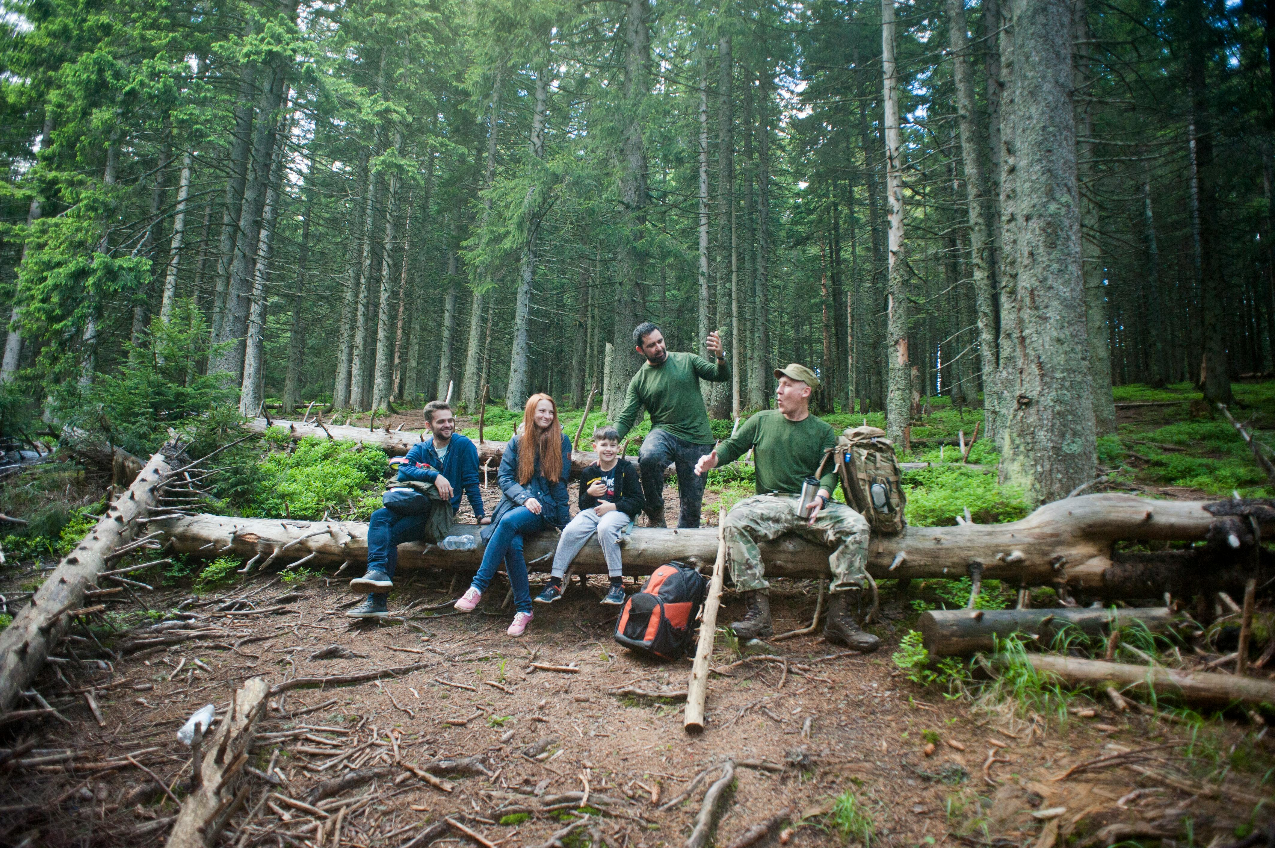 three men and woman sitting on brown trunk photo