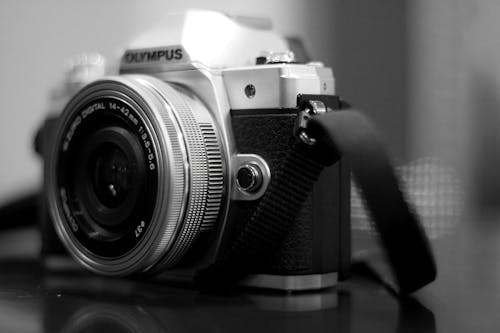 Безкоштовне стокове фото на тему «відтінки сірого, впритул, камера»