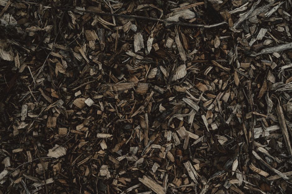 Detailed view of a natural wood chips texture, perfect for backgrounds or eco-themed designs.