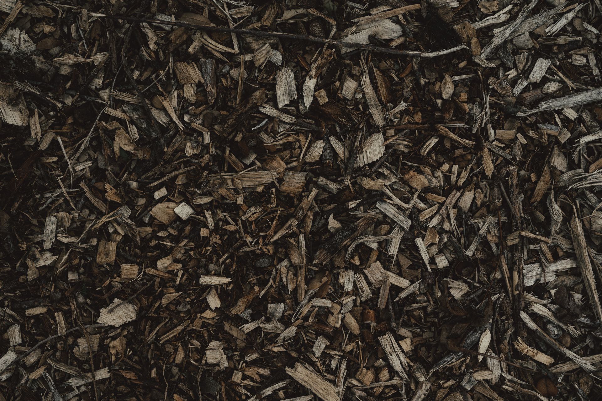 Wet Scrap Wood