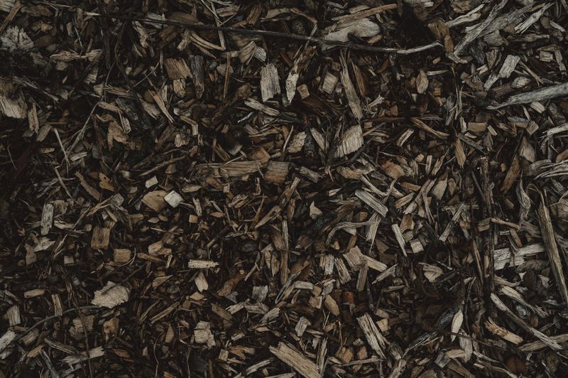 Freshly mulched and cleared property prepared for future use in Mississippi