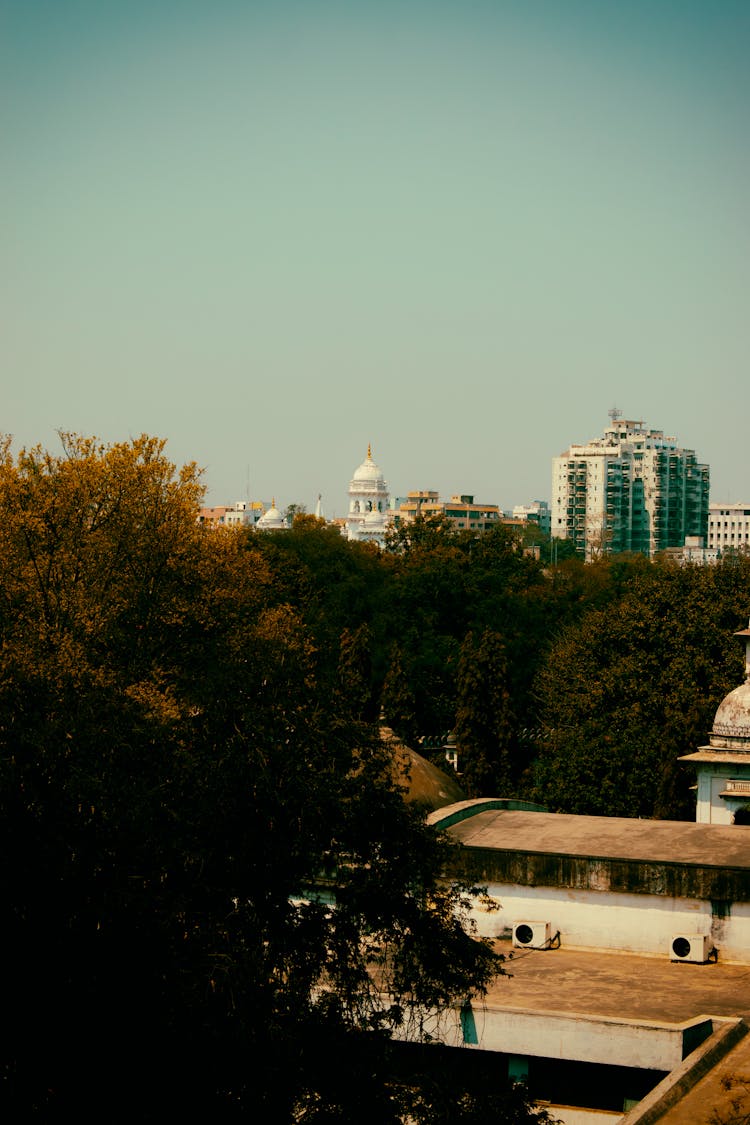 Buildings Above Line Of Trees