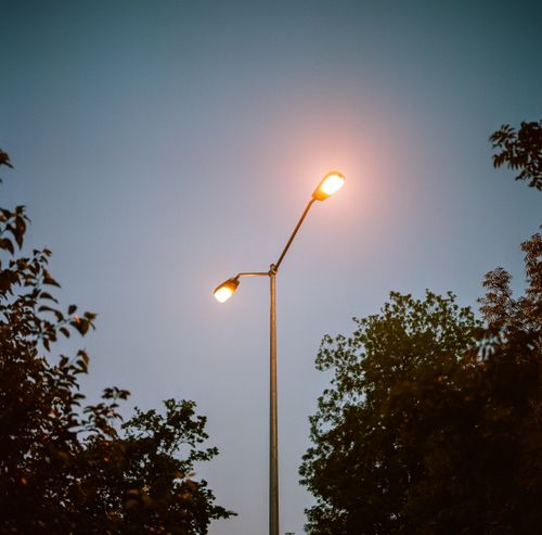 Free A streetlight glows warmly against the backdrop of a twilight sky with tree silhouettes. Stock Photo