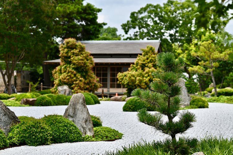 Green Trees Near Brown Wooden House