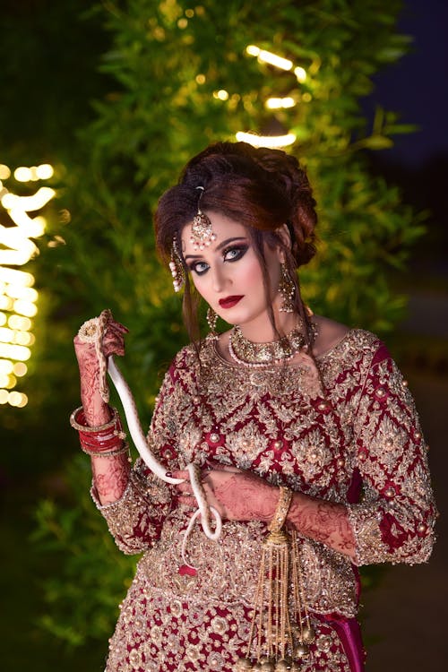 インド文化, ファッション, ファッション写真の無料の写真素材