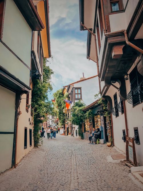 Free Quaint cobblestone alley lined with traditional architecture and vibrant greenery, capturing a peaceful city scene. Stock Photo