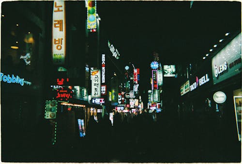 Hanging Lighted Signages on the Dark Street 