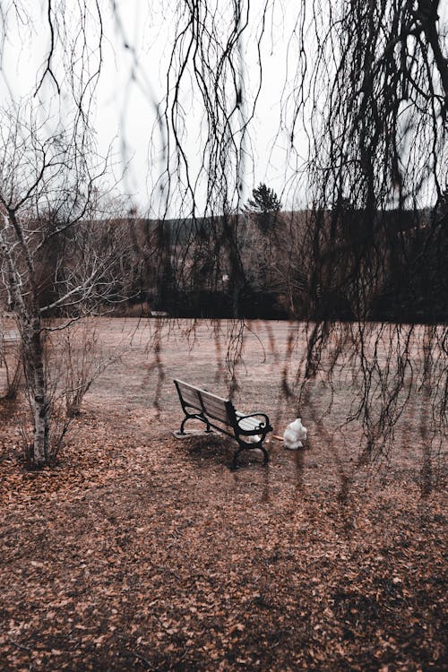 Bench on a Field in Autumn 