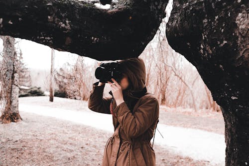 Foto profissional grátis de árvore, câmera, casaco