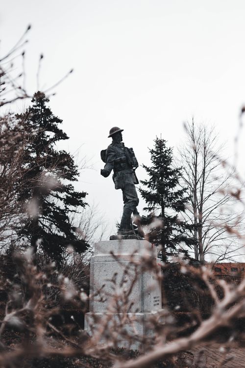 Free Bronze soldier statue amid wintry trees, capturing historical military art. Stock Photo