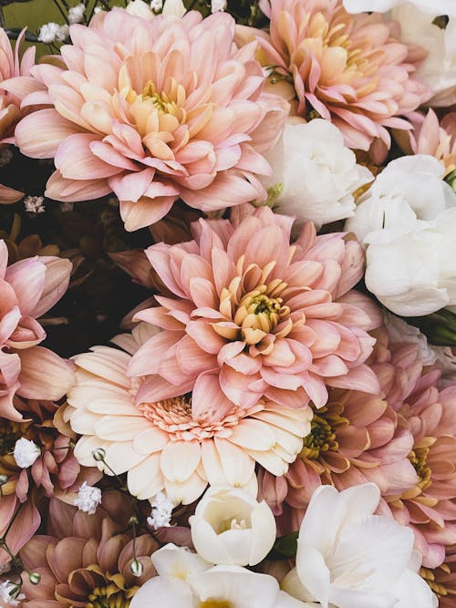 Foto d'estoc gratuïta de flors boniques, grapat, natura