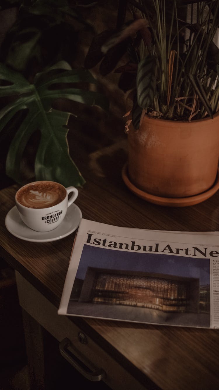 Newspaper, Coffee And Plant