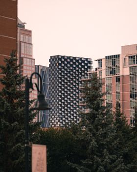 Calgary's skyline showcasing modern architecture amidst lush greenery at daytime.