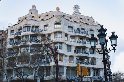 Gratis lagerfoto af Barcelona, berømt, bladløse Lagerfoto
