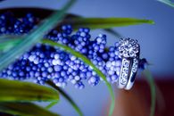 Wedding Band Photo