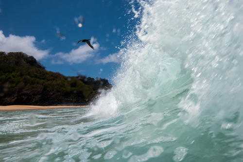 Free A ONDA É DO ATOBÁ! Stock Photo