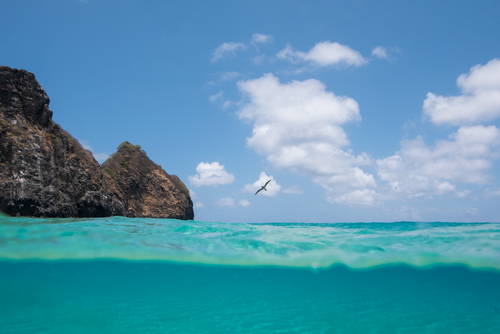 Free CAL MAR RIA!!! Stock Photo