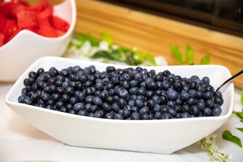 Free A Bowl of Fresh Blueberries Stock Photo