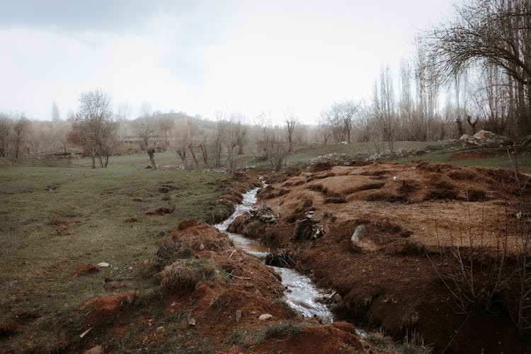 Small Stream Flowing Through Fields