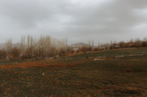 Бесплатное стоковое фото с голые деревья, гора, дома