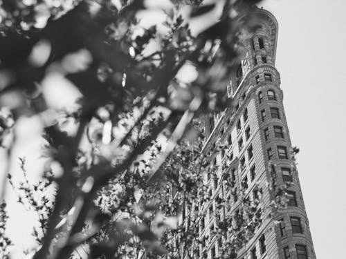 Worm's Eyeview of High Rise Building