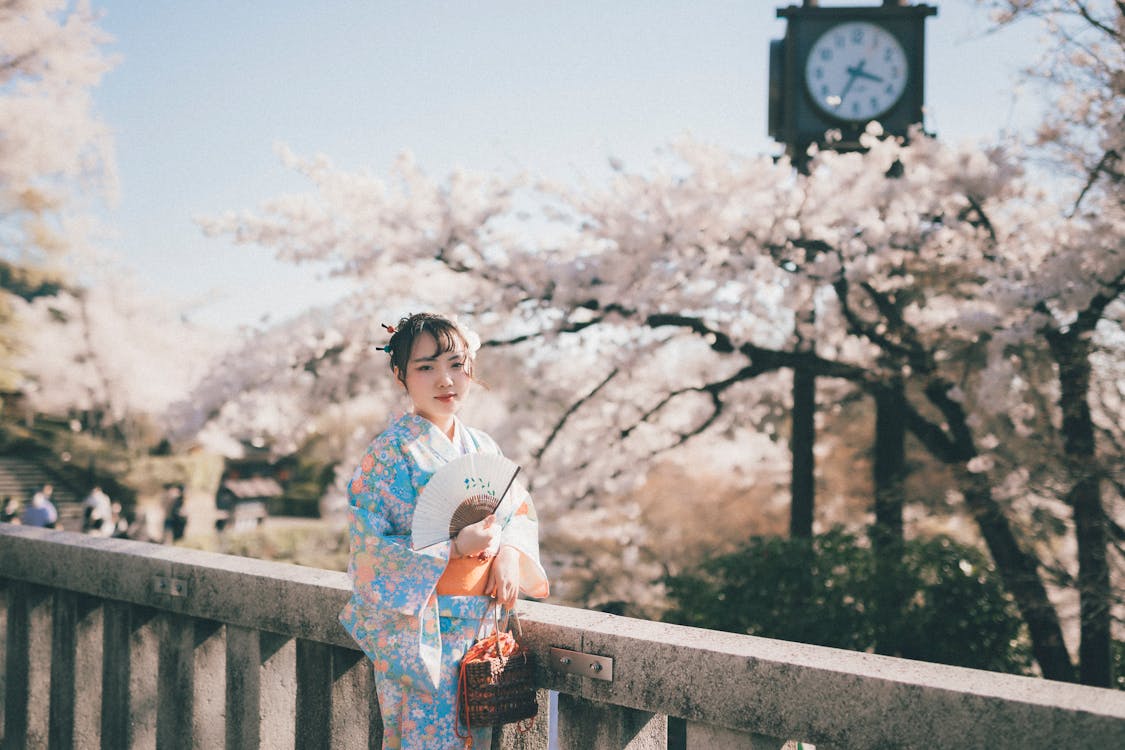 Japanese Woman in a Kimono at Cherry Blossom Season · Free Stock Photo