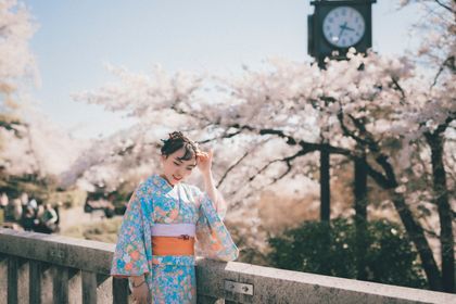 Cerisiers en fleurs au printemps avec pagode au Japon