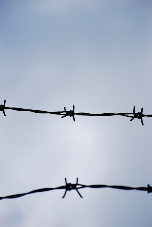 Close Up Photo of Barbed Wire