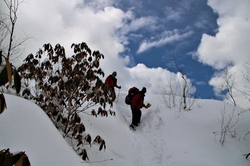 喜馬拉雅山, 尼泊爾, 徒步旅行 的 免费素材图片