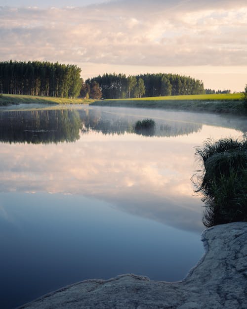 Field Near Lake