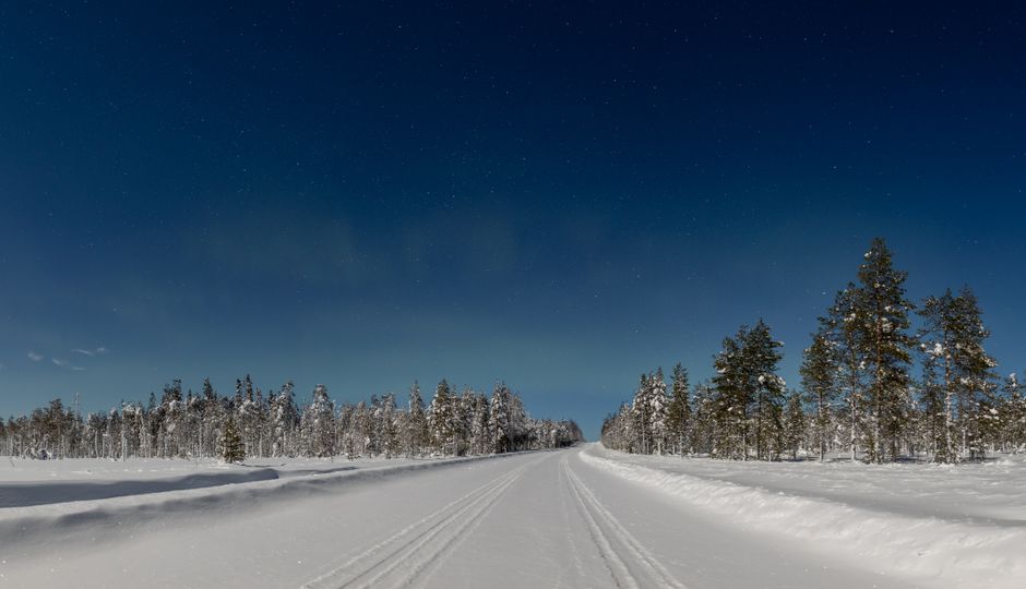Happy husky dogs pulling a sled through a snowy forest in Lapland, Finland