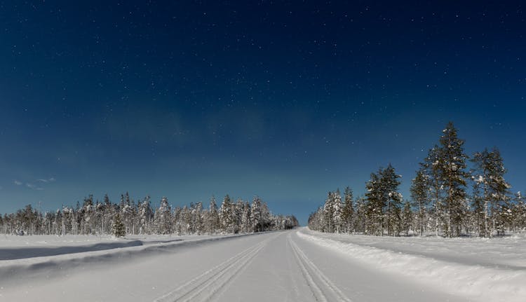 Snow Covered Road