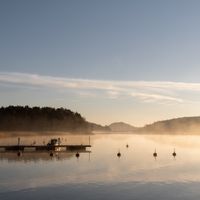 Willow Ferry cover art — photo by Jamo Images on Pexels