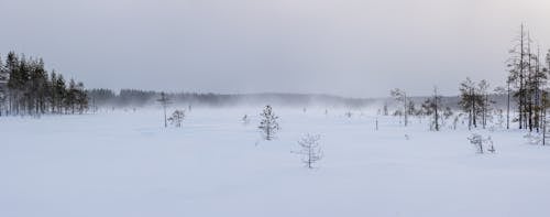 Kostnadsfri bild av säsong, snö, snötäckt mark