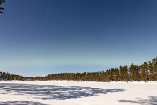 Green Pine Trees on Snow Covered Ground Under Blue Sky