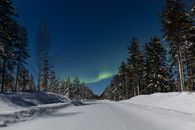 Green Pine Trees on Snow Covered Ground Under Blue Sky during Night Time
